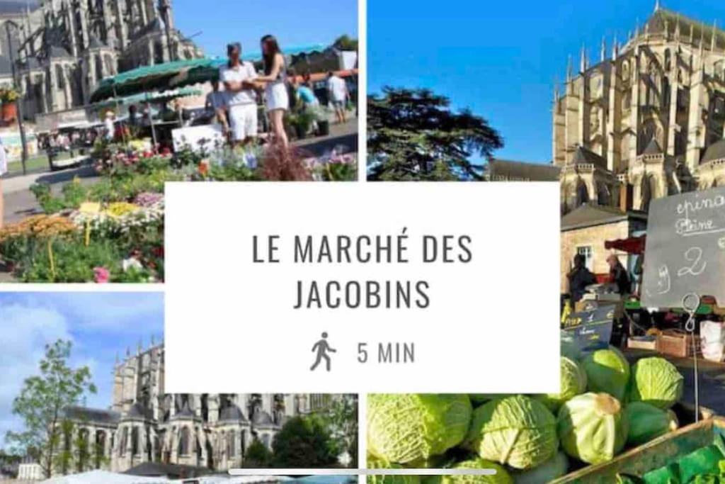 Appartements De Standing Centre Ville, Gare, Jardin,Terrasse Le Mans Esterno foto
